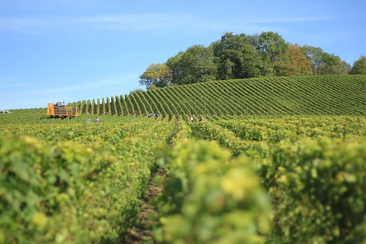 Full Rioja Wine Tour with Lunch from Bilbao - Private Tour