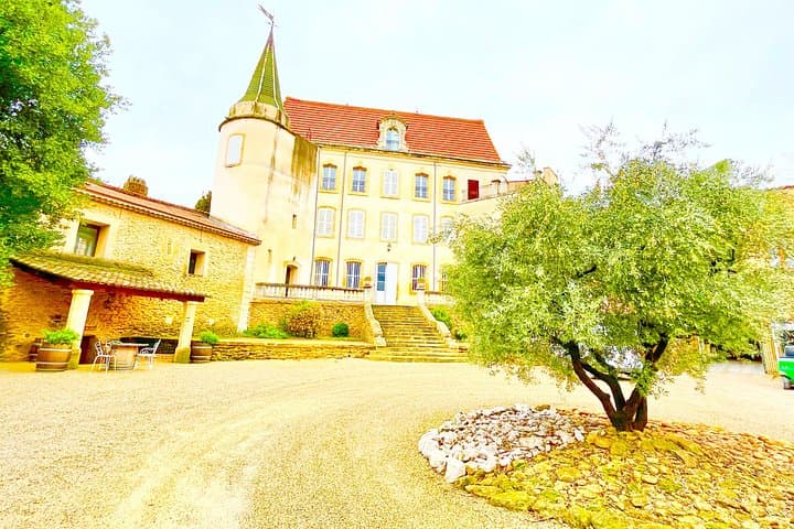 3 hours of Tour in the Wines of Châteauneuf-du-Pape