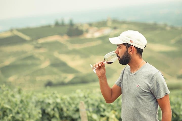 Lyon: Private Burgundy Half Day Wine Tour by Vintage Land Rover