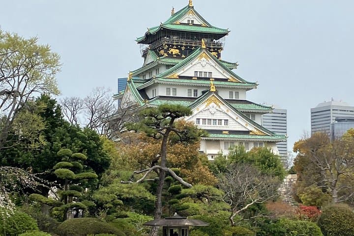 Private Osaka Tour from Your Hotel with Local Guide