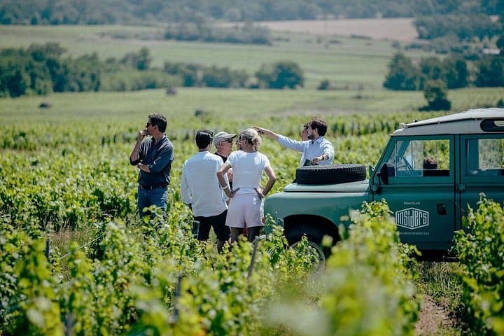 Lyon: Private Burgundy Half Day Wine Tour by Vintage Land Rover