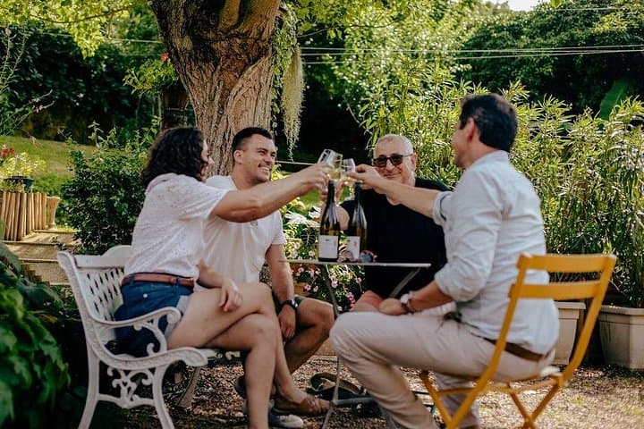 Lyon: Private Burgundy Half Day Wine Tour by Vintage Land Rover