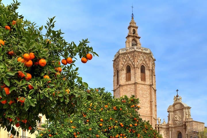 Guided Tour of the Historic Center of Valencia