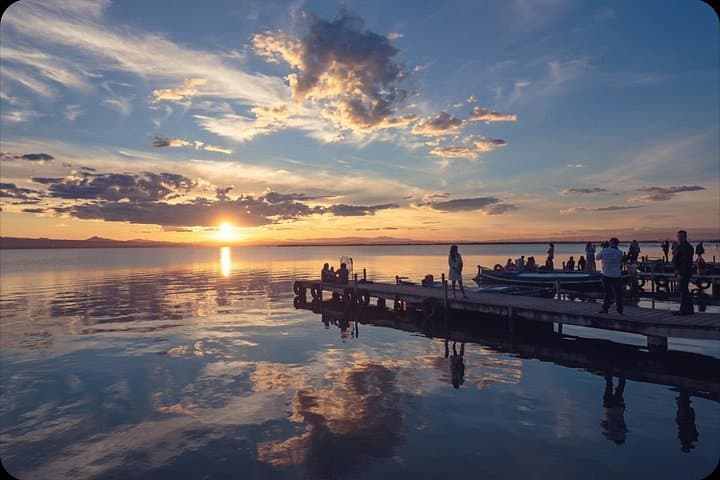 Valencia Albufera E-Bike Tour: The Park Most Visitors Miss