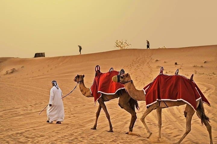 Dubai Desert Safari Adventures